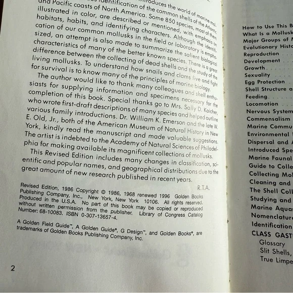 Seashells of North America A Guide to Field Identification - Picture 4 of 11